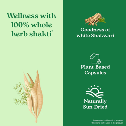 Shatavari Capsules Herbal Supplements (60 Capsules) FREE SHIPPING