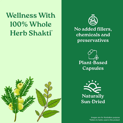 Triphala Capsules Herbal Supplements (60 Capsules) FREE SHIPPING