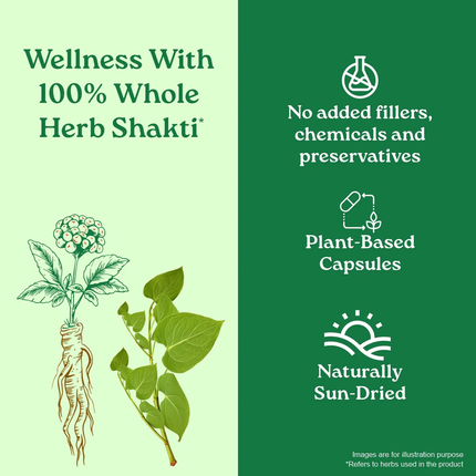 Flexibility Capsules Herbal Supplements (60 Capsules) FREE SHIPPING