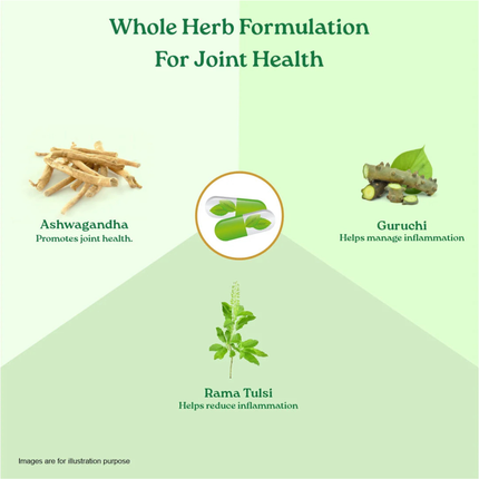 Flexibility Capsules Herbal Supplements (60 Capsules) FREE SHIPPING