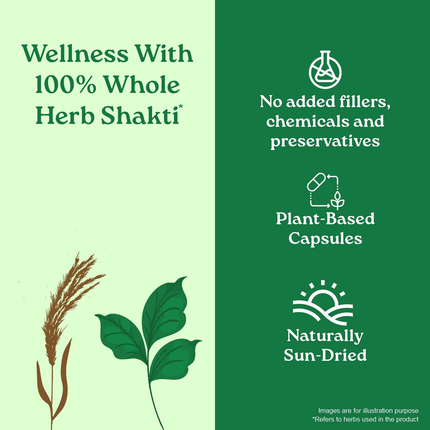 Bowelcare Capsules Herbal Supplements (60 Capsules) FREE SHIPPING