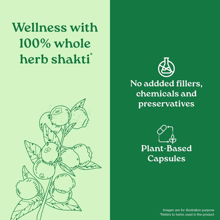Garcinia Cambogia Capsules Herbal Supplements (60 Capsules) FREE SHIPPING