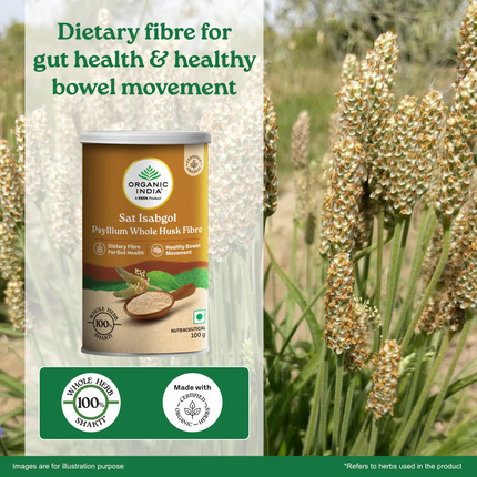 Psyllium Whole Husk Isabgol Herbal Supplements 100gram FREE SHIPPING