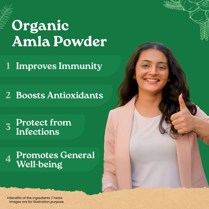Organic Amla Powder 200grams FREE SHIPPING