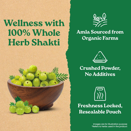 Organic Amla Powder 200grams FREE SHIPPING