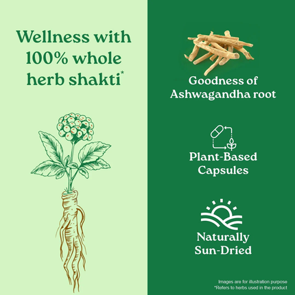 Ashwagandha Capsules (60 Capsules) FREE SHIPPING
