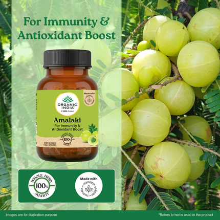 Amalaki with Vitamin C Health & Wellness (60 Capsules) FREE SHIPPING