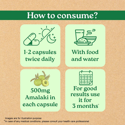 Amalaki with Vitamin C Health & Wellness (60 Capsules) FREE SHIPPING