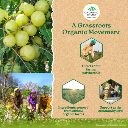 Amalaki with Vitamin C Health & Wellness (60 Capsules) FREE SHIPPING