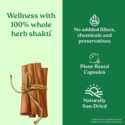 Cinnamon Capsules (60 Capsules) FREE SHIPPING