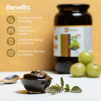 KRISHNA'S HERBAL & AYURVEDA Chyawanprash – Preservative-Free, Boosts Stamina, Immunity and Strength for Kids & Adults, Made with Traditional Ayurvedic Process, 500g (Pack of 1), FREE SHIPPING