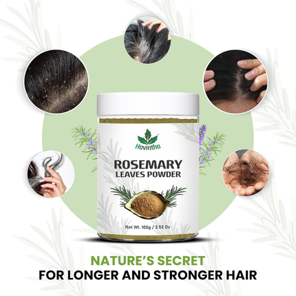 Havintha Natural Rosemary Dried Leaves Powder – 100% Pure & Natural Herb for Hair Growth - 100 gm, FREE SHIPPING