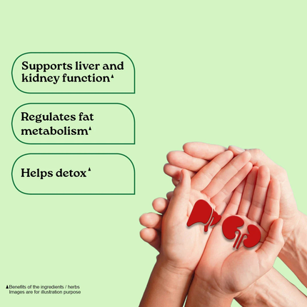 Liver Kidney Care Herbal Supplements (60 Capsules) FREE SHIPPING