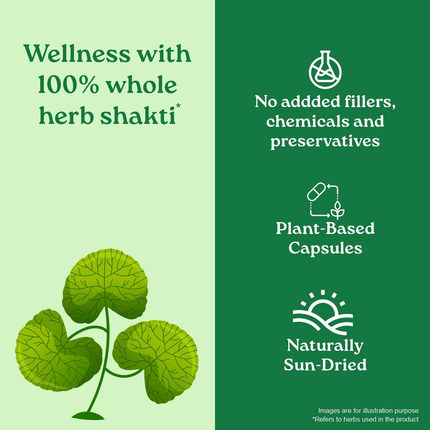 Brahmi Capsules Herbal Supplements (60 Capsules) FREE SHIPPING