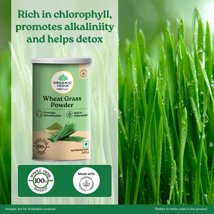 Wheatgrass Powder Herbal Supplements 100grams FREE SHIPPING