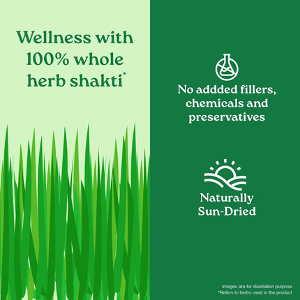 Wheatgrass Powder Herbal Supplements 100grams FREE SHIPPING