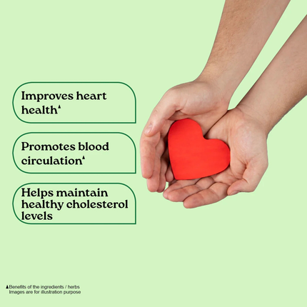 Arjuna Capsules Herbal Supplements (60 Capsules) FREE SHIPPING